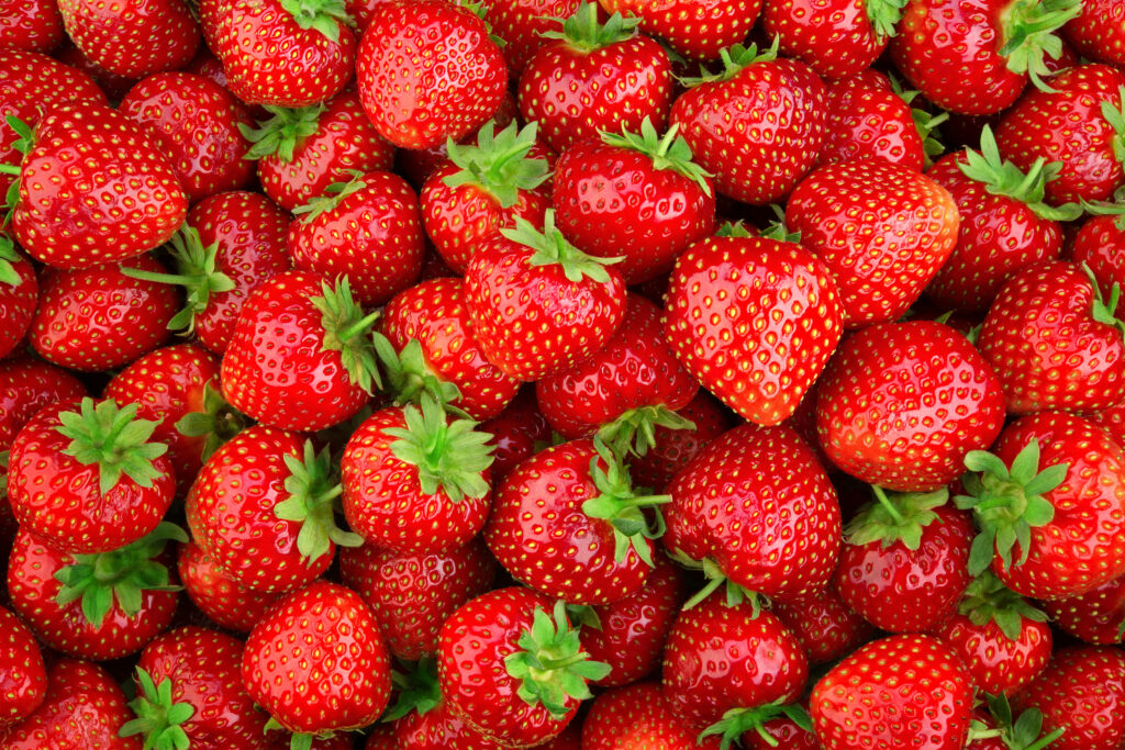 Viele frische, aromatische Erdbeeren -- ein Sommertraum.